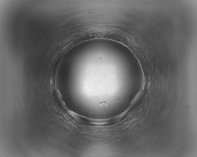 X0000075831109200609151231