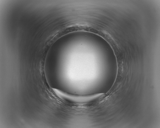 X0000075831110200609151231