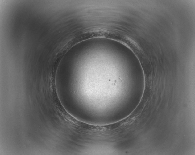 X0000075831111200609151231