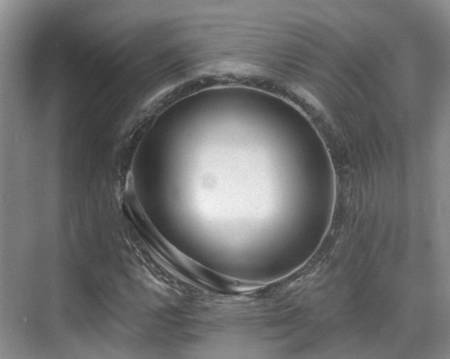 X0000075831112200609151231