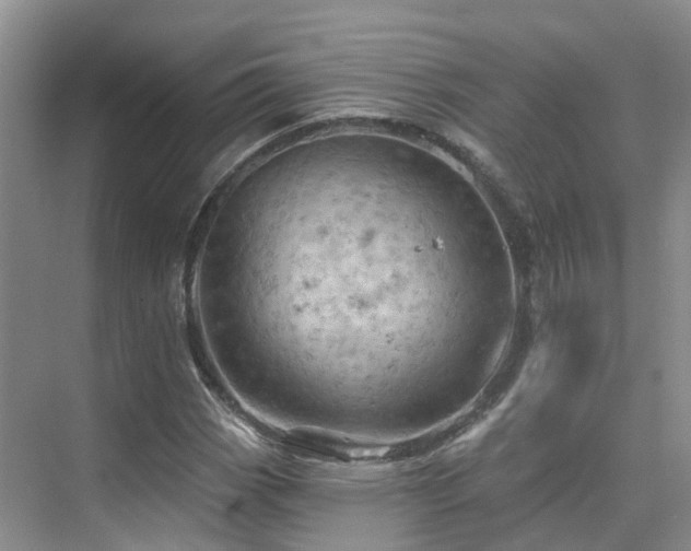 X0000075831113200609151231