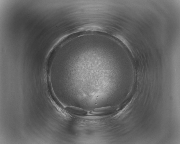 X0000075831115200609151231