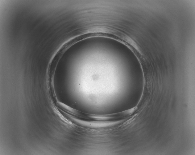 X0000075831116200609151231