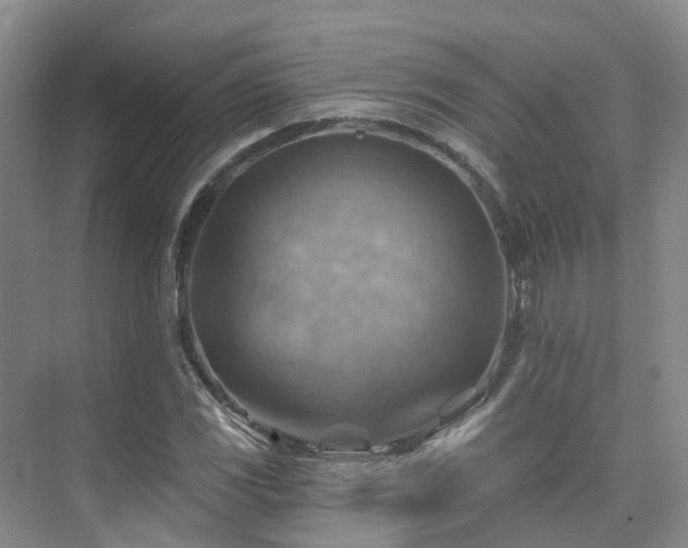 X0000075831117200609151231