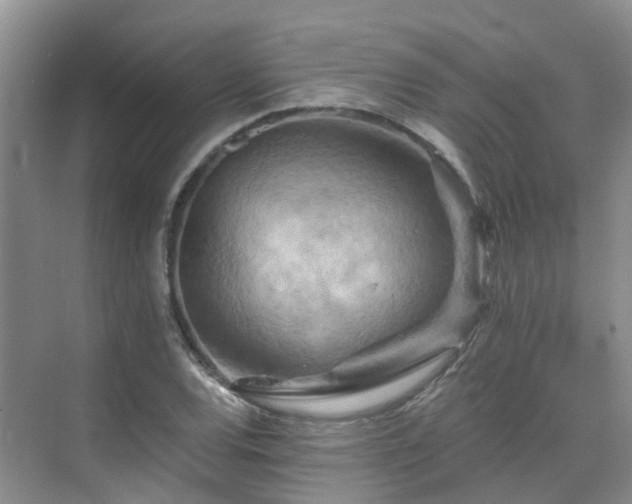 X0000075831120200609151231