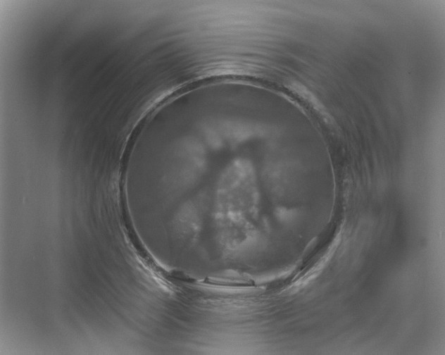 X0000075831121200609151231