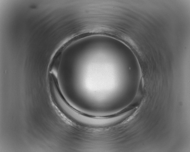 X0000075831122200609151231