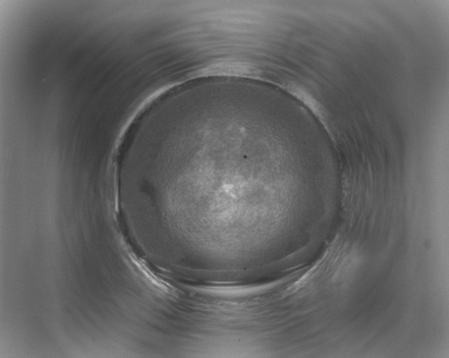 X0000075831123200609151231