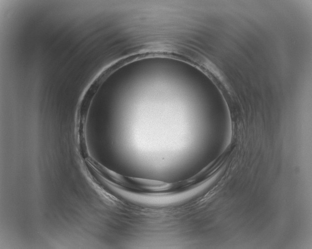 X0000075831124200609151231