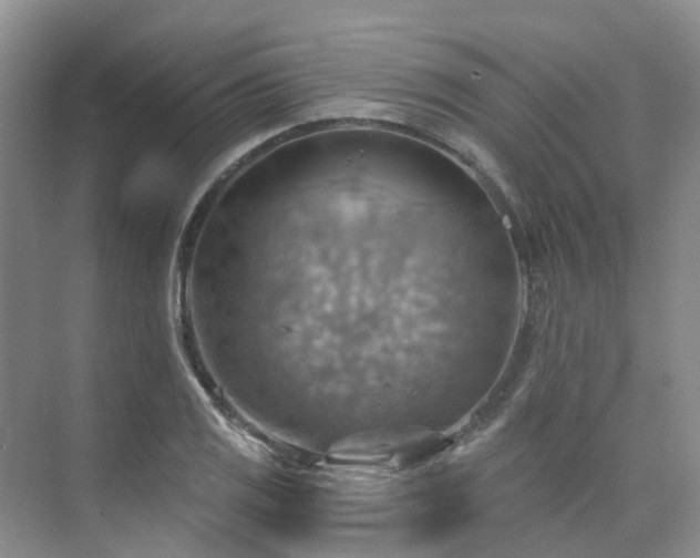 X0000075831125200609151231