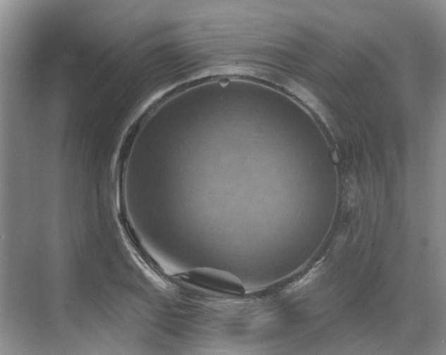 X0000075831127200609151231