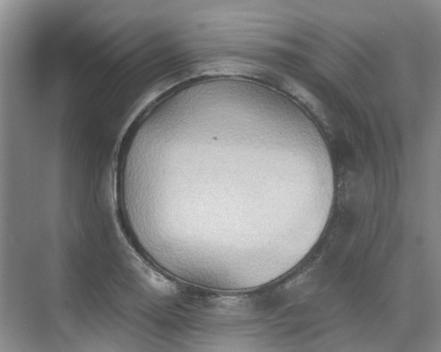 X0000075831130200609151231