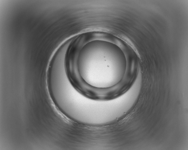 X0000075831132200609151231