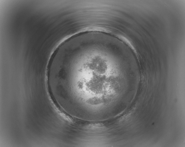 X0000075831133200609151231