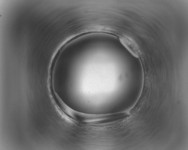 X0000075831136200609151231