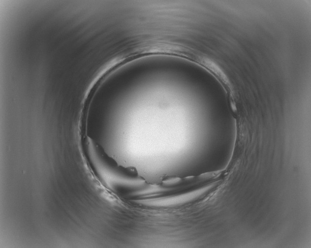 X0000075831138200609151232