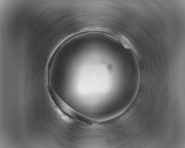 X0000075831140200609151232