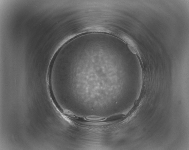 X0000075831141200609151232