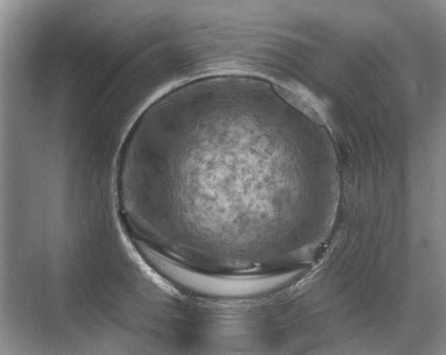 X0000075831142200609151232