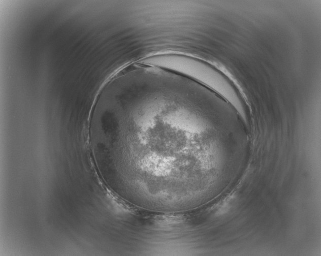 X0000075831145200609151232