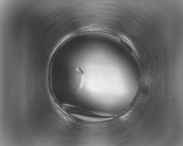 X0000075831146200609151232