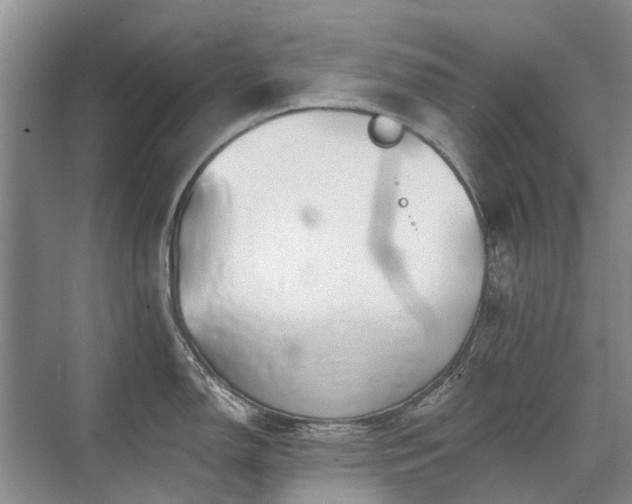 X0000075831150200609151232