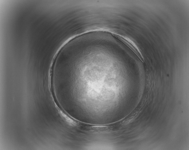 X0000075831151200609151232