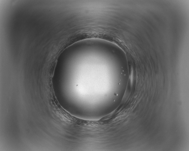 X0000075831153200609151231