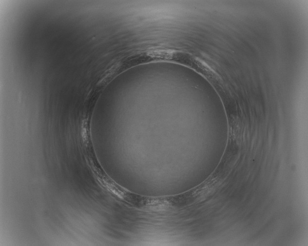 X0000075831154200609151231