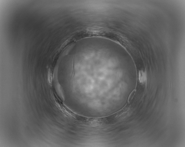 X0000075831155200609151231