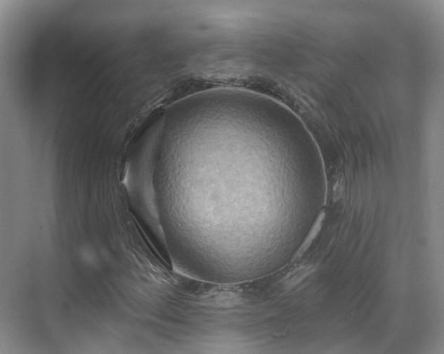 X0000075831156200609151231