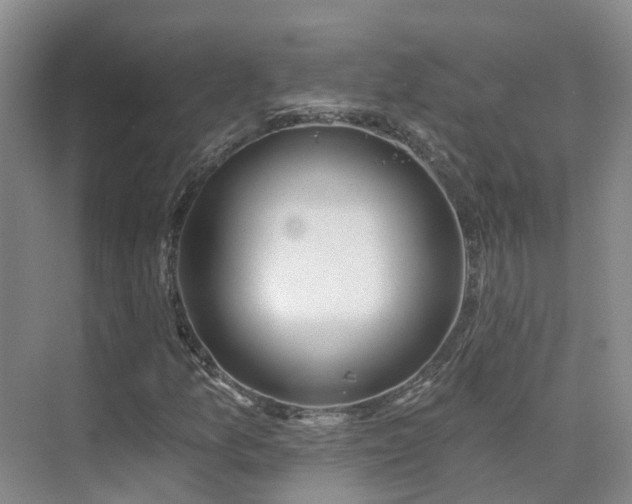 X0000075831157200609151231