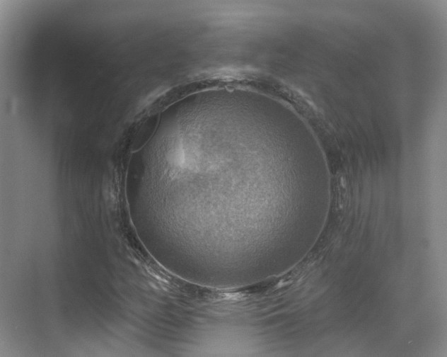 X0000075831158200609151231