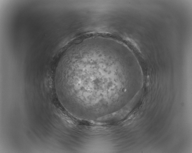 X0000075831159200609151231