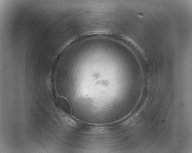 X0000075831162200609151231