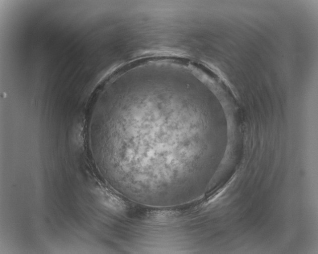 X0000075831163200609151231