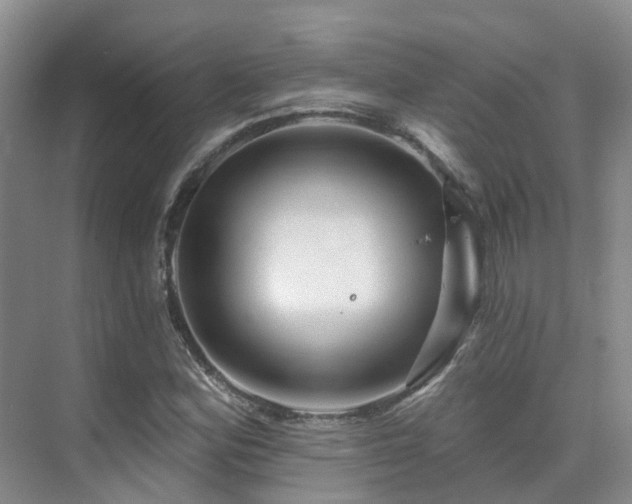 X0000075831164200609151231