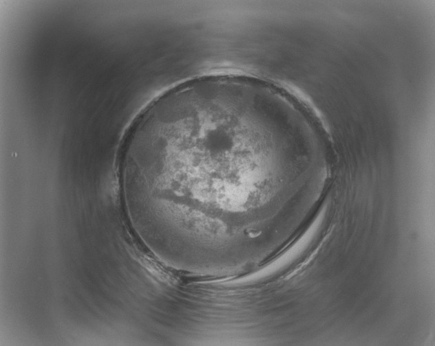 X0000075831167200609151231