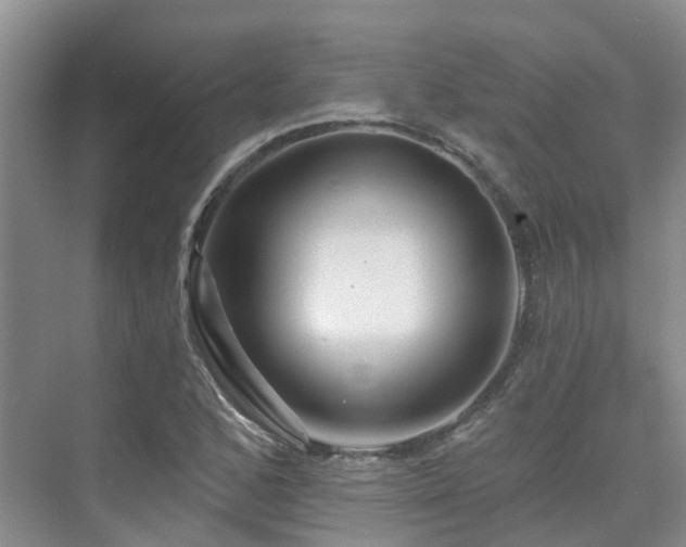 X0000075831168200609151231