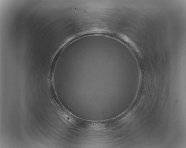 X0000075831170200609151231