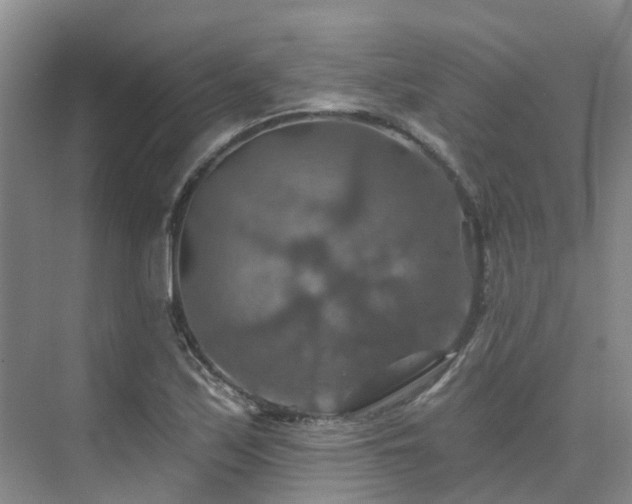 X0000075831171200609151231