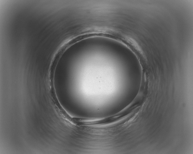 X0000075831172200609151231