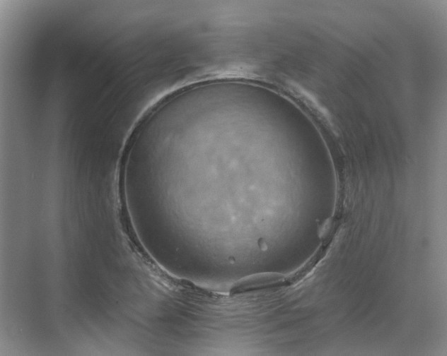 X0000075831174200609151231