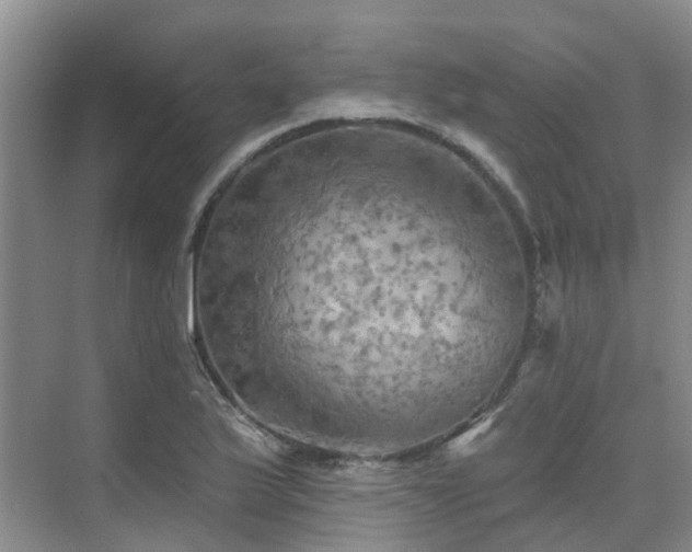 X0000075831175200609151231