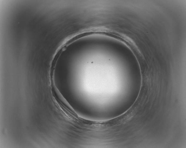 X0000075831176200609151231