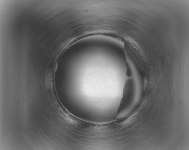 X0000075831177200609151231