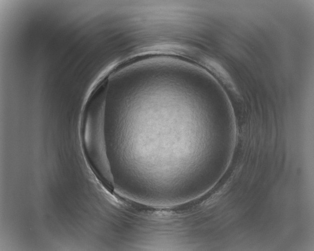 X0000075831180200609151230