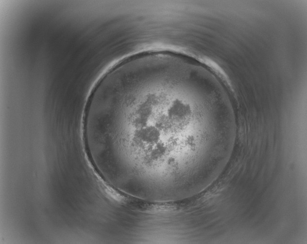 X0000075831183200609151230