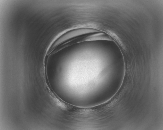 X0000075831184200609151230