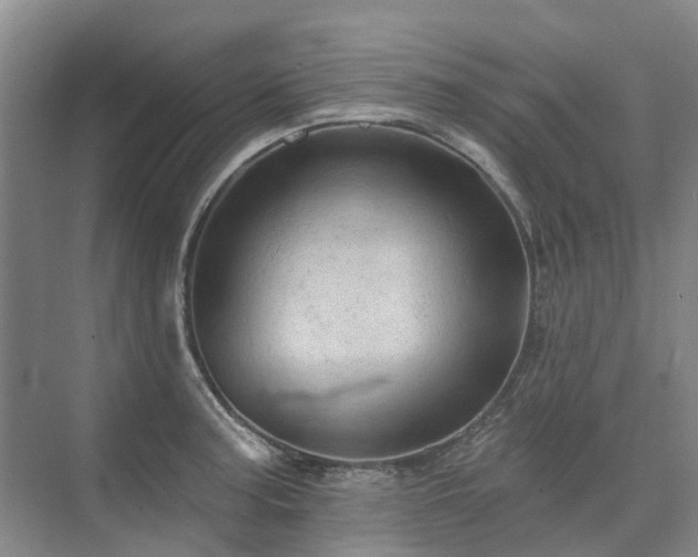 X0000075831187200609151230